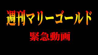 【#マリーゴールド】週刊マリーゴールド緊急動画【#pw_mg】