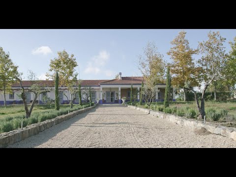 Exploring Ibogaine for Addiction Treatment