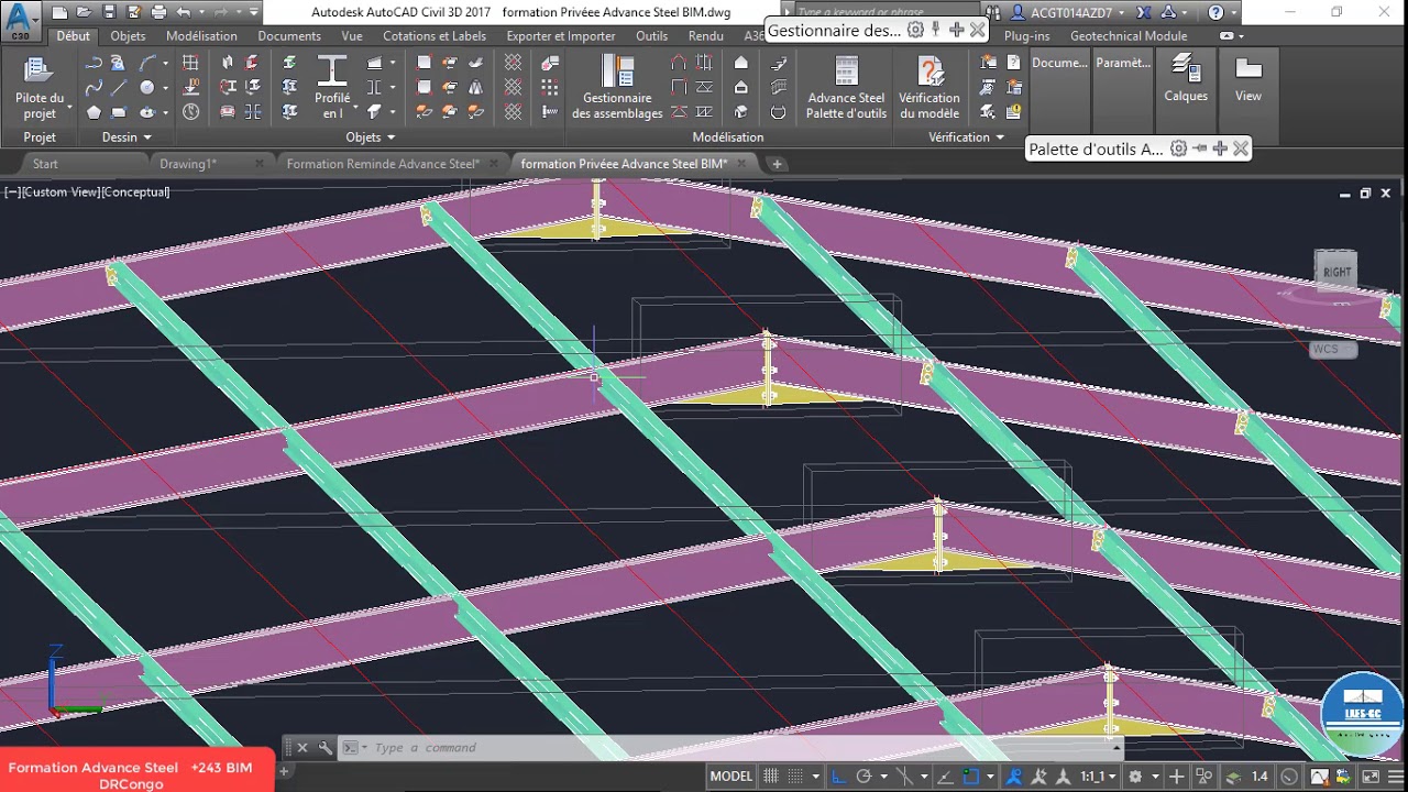 Construction métallique Advance Steel Assemblage des pannes intermédiaires sur une toiture métalliqu