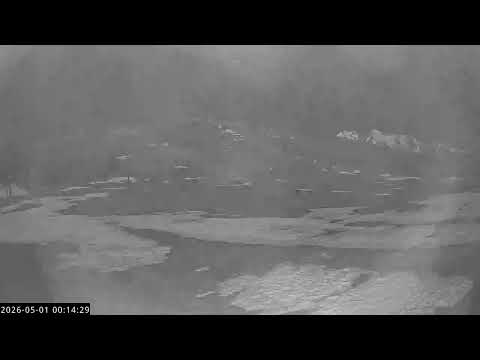 Moiwa Live Camera