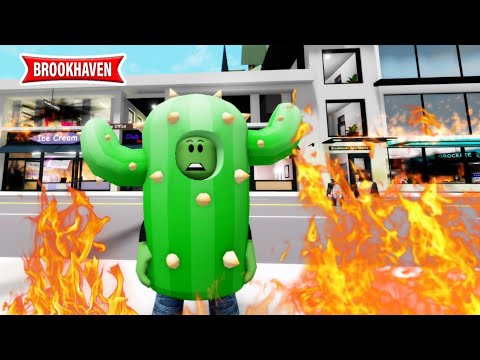 A MYSTERIOUS CULT IS BURNING BROOKHAVEN BECAUSE... 😳! ROBLOX - BROOKHAVEN RP