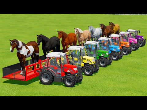 LOAD AND TRANSPORT HORSES WITH RIGI TRAC TRACTORS - Farming Simulator 22