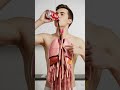 What Happens When You Drink Coca Cola 3D Digestive System Animation