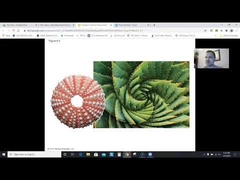 AP Biology Chapter 6: An Introduction to Metabolism