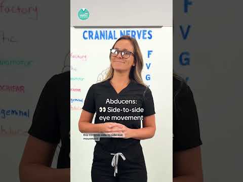 Cranial nerves made simple 🧠✨