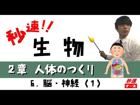 看護学科 【秒速ナース】2-6脳 神経1【生物-授業動画】
