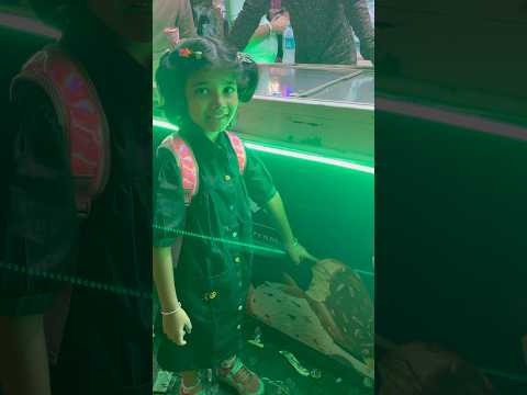 Chachu ne same icecream 🍦 dilbayi #funny #comedy #icecream