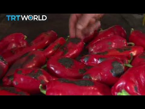 Balkan Peppers: Serbia's roasted red pepper spread