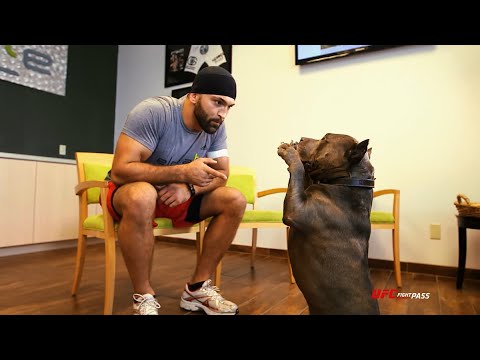 Andrei Arlovski Now Training At ATT