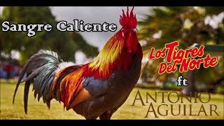 Sangre Caliente-Los Tigres Del Norte Y Antonio Aguilar