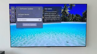 LG OLED update 33.20.65, new PICTURE SETTING & FEATURES!