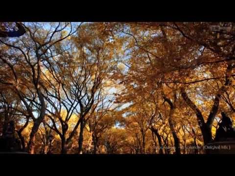 Moonsouls - Resolution (Original Mix) [Clip Edit]