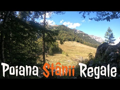 Drumetie Poiana Stânii Regale – Stâncile Franz Joseph - Hoinarii din Ploiesti (4K)