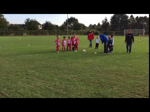 Scharn JO7-1/Scharn JO7-2 - Leonidas - W JO7-1/Leonidas - W JO7-2 (08-10-2016)