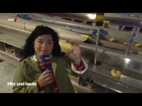 Wilhelm Weyers Kartoffeln