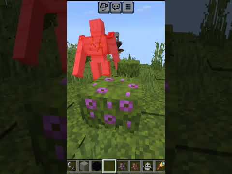 Friendly Frog Spawns in Minecraft?! 🐸🔥