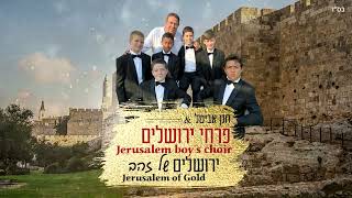 פרחי ירושלים - ירושלים של זהב | Jerusalem boy’s choir - Jerusalem of Gold