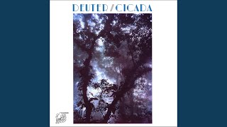 Cicada