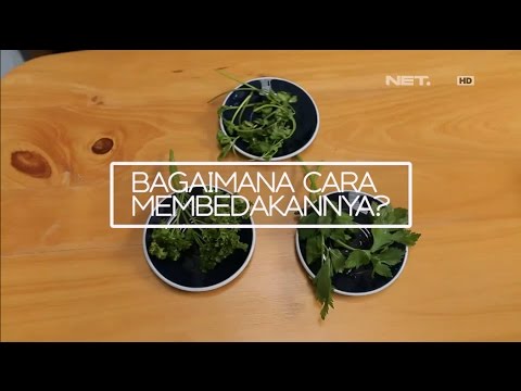 Verbena dan impotensi Vitamin potensi laki-laki untuk forum
