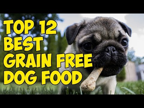 Top 12 Best Grain Free Dog Foods for 2019