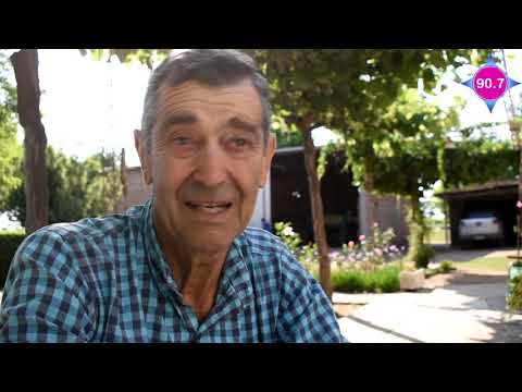 Una jornada de cosecha de duraznos en la chacra de la familia Visintín