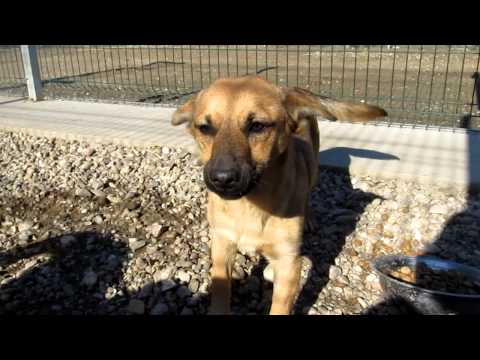 marini, eusebia, alfonsa