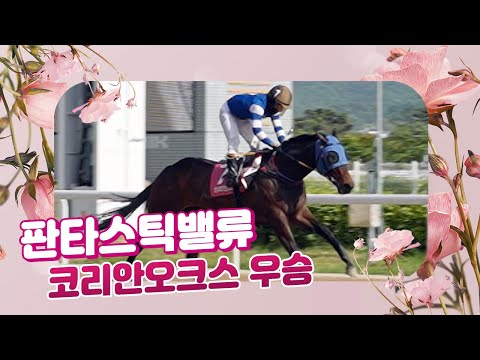 ""2025년 코리안오크스 판타스틱밸류 우승""