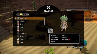 [生放送] 新米開拓者barackyのドラゴンクエストビルダーズ2 #17