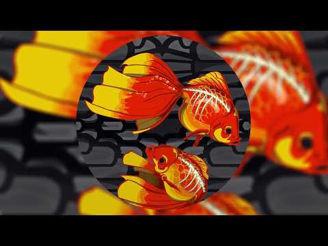 Hydrophonic 33 - A2 - Arno Bonzini - Amen