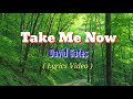 Take Me Now (Lyrics Video)by David Gates
