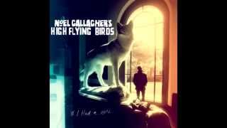 Noel Gallager's High Flying Birds - (Stranded On) The Wrong Beach