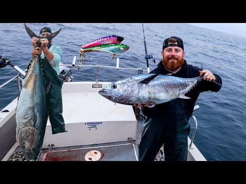 Northern California Bluefin Fishing + How to Hi-Speed Troll for Bluefin Tuna