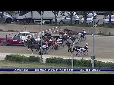 Aversa trotto 25 Gennaio 2020 - Corsa Pony Trotto
