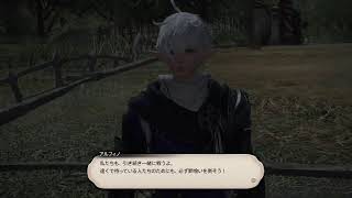 ＦＦ１４　無言でちょこっと配信！スト進めます～その２