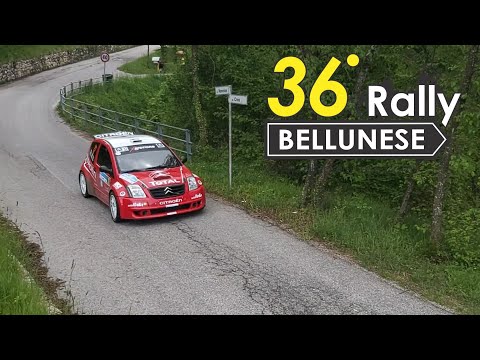 36° RALLY BELLUNESE Show & mistake