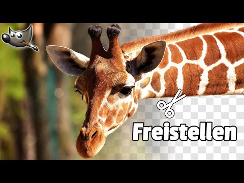 Cutout / Isolate - Transparent Background | GIMP 2.10 Tutorial German