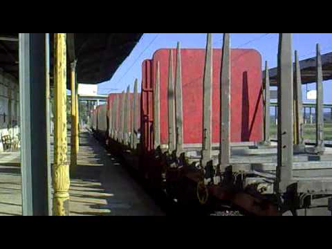 Comboio de Madeira nº 48840 ( 2 ) - Amieira