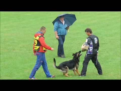 2017 Czech Nationals Marek Cerny with Extreme Orex Aykmar Protection