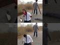 Pochita Chainsaw Man Vs Katana Man VFX Breakdown Chainsawman Pochita 3dsingh Katanaman