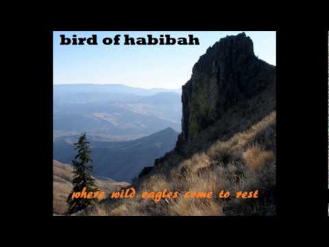Bird of habibaH - Where wild eagles come to rest (2011)