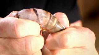 Chef Ramsay - How to prepare fresh prawns