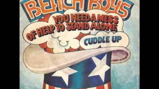 The Beach Boys You Need A Mess Of Help To Stand Alone