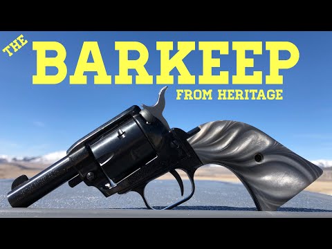 Heritage Barkeep .22lr Revolver Review \u0026 Shoot