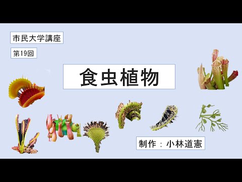 地域科学課程 食虫植物