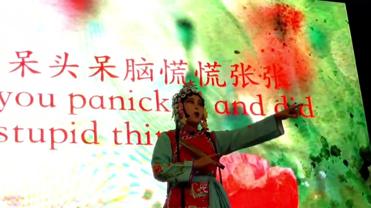 京剧选段 《花田错》