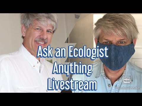 Ask an Ecologist Anything 9-5-20