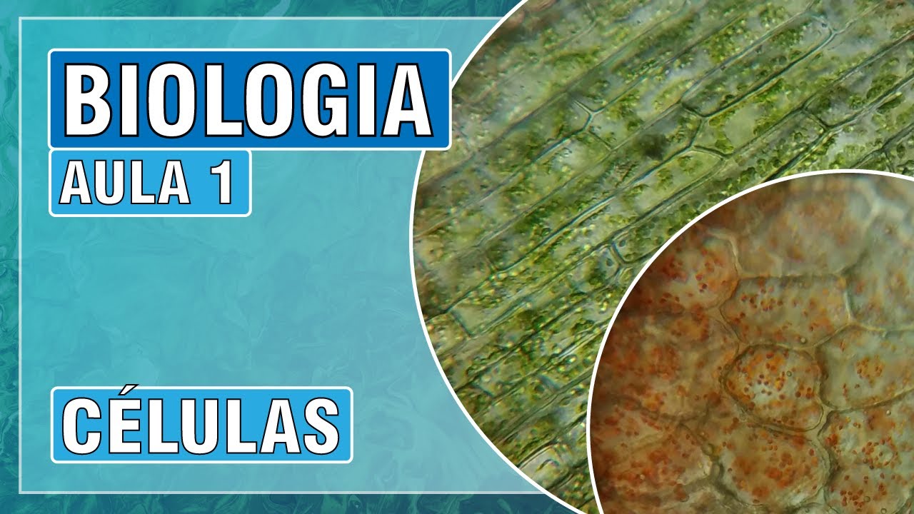 CÉLULAS – BIOLOGIA GERAL – AULA 1