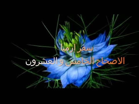 إرميا 25