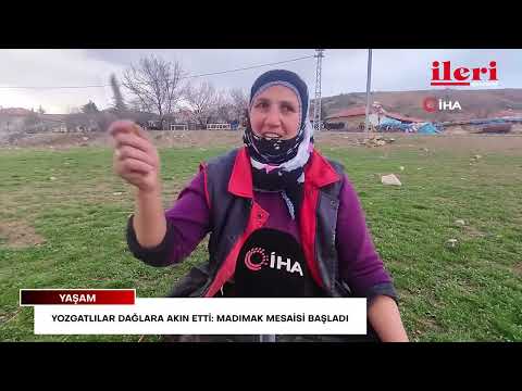 Yozgatlılar dağlara akın etti: Madımak mesaisi başladı | İleri Gazetesi