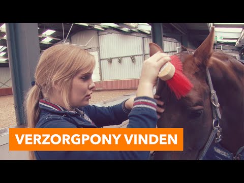 download lagu mp3 mp4 Verzorgpony, download lagu Verzorgpony gratis, unduh video klip Verzorgpony